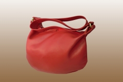 Mini Leather Hobo Bag